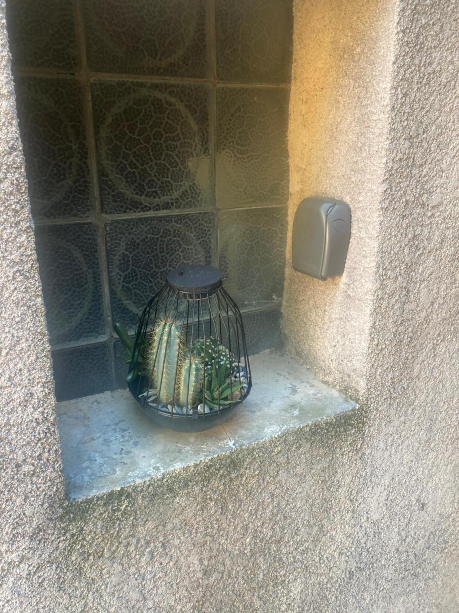 Maison Delmas, L'Oustal Du Recantu Sainte-Eulalie  Exteriér fotografie